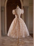 Kukombo valentines day outfits A-line Champagne Pink Tulle Lace Tea Length Prom Dress with Beads ED0578